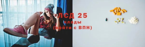 стаф Арсеньев