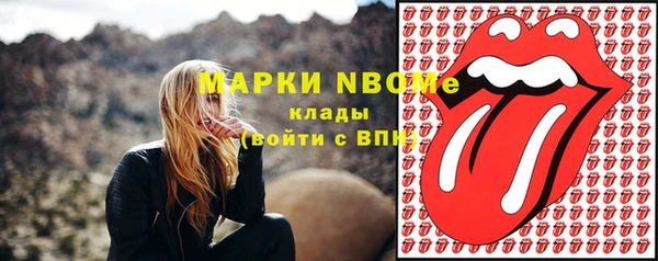 стаф Арсеньев