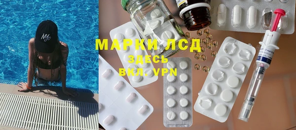 стаф Арсеньев