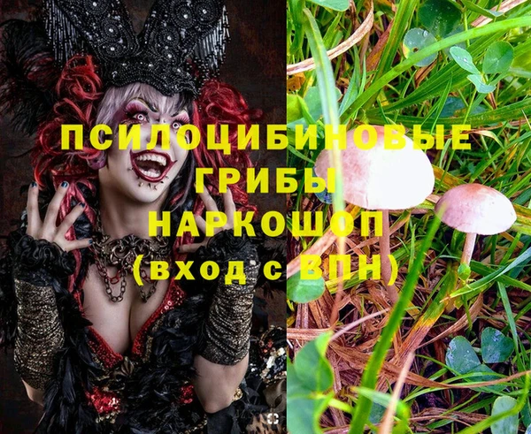 стаф Арсеньев