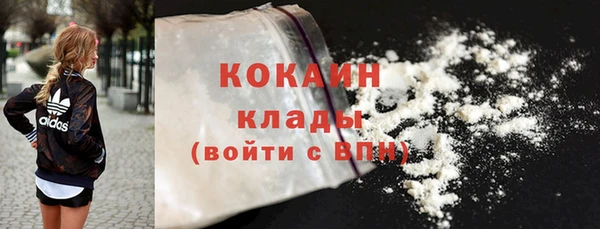стаф Арсеньев