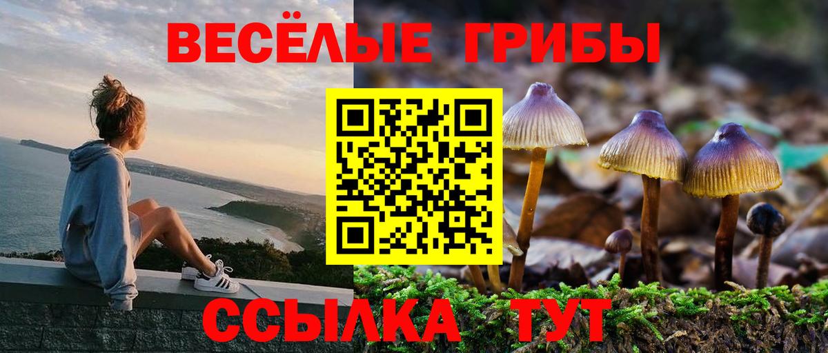 Похвистнево  Галлюциногенные грибы Psilocybe  Псилоцибиновые грибы прущие грибы  Вход с VPN 